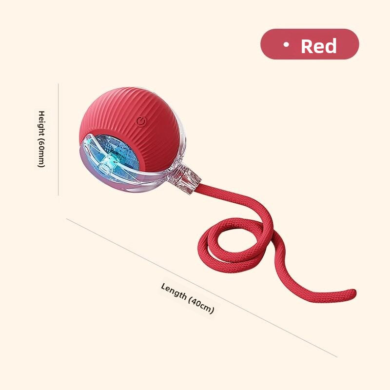 electronic pet toy