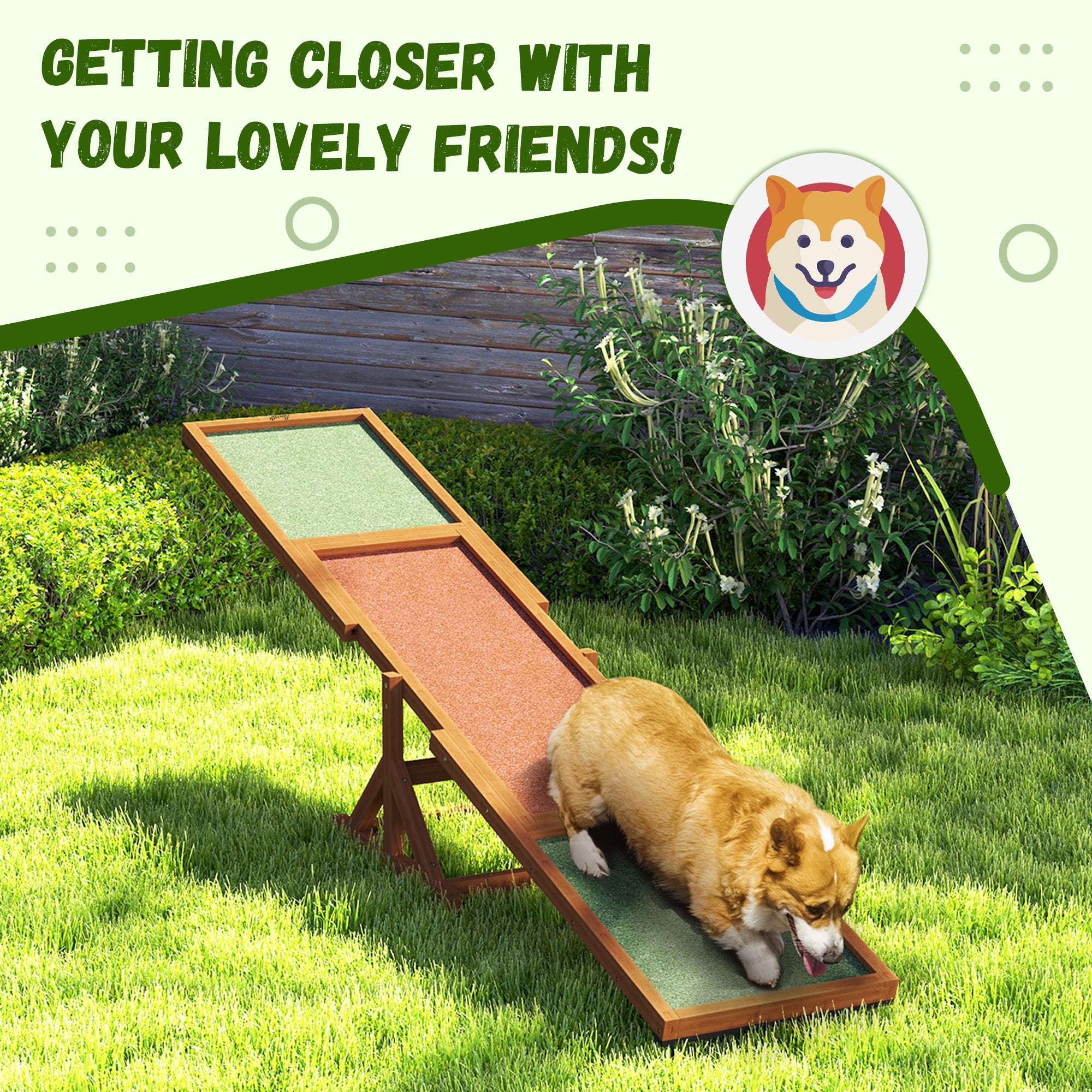 Agility Seesaw for Training and Exercise