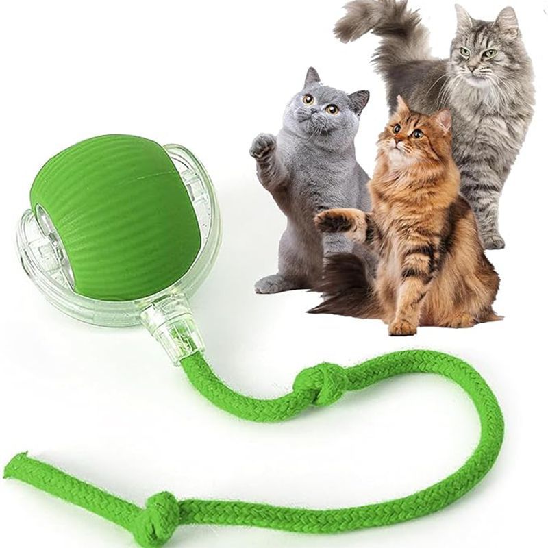 Automatic Rolling Ball For Kitten