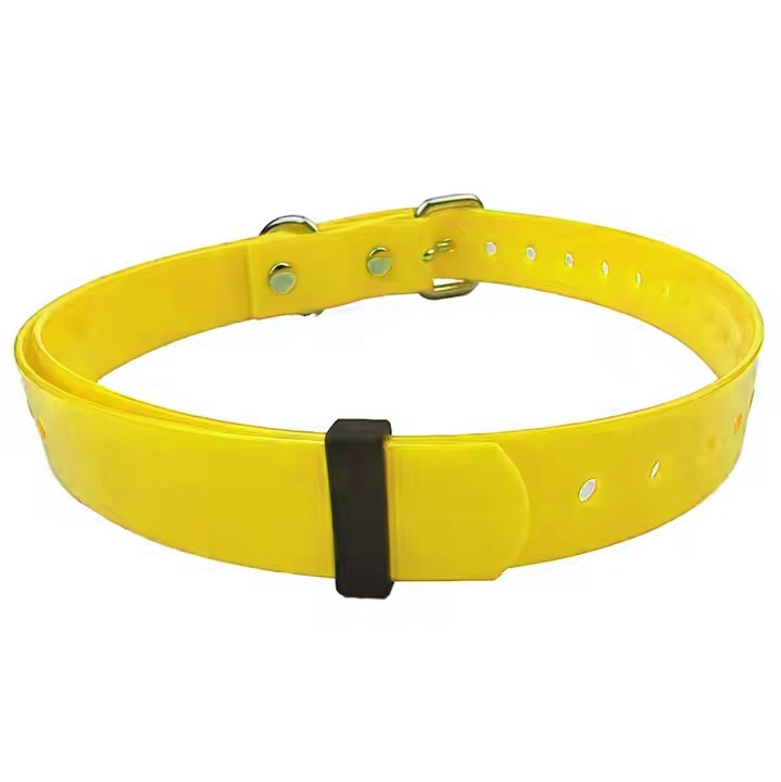 Pet Collars