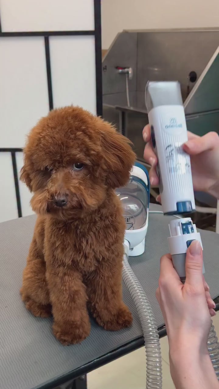 Vacuum Pet Hair Remover