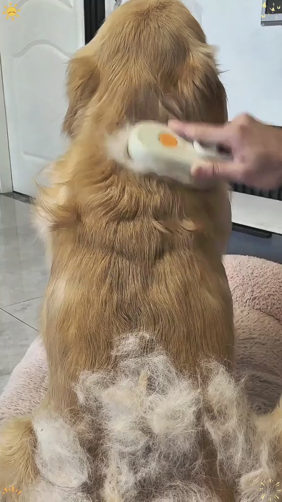 STEAM HAIR GROOMING BRUSH