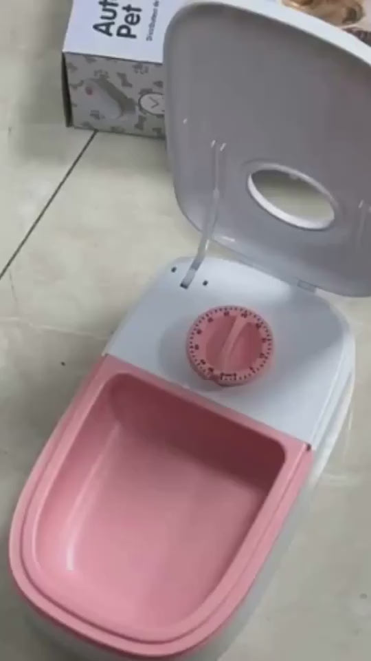 1.mp4