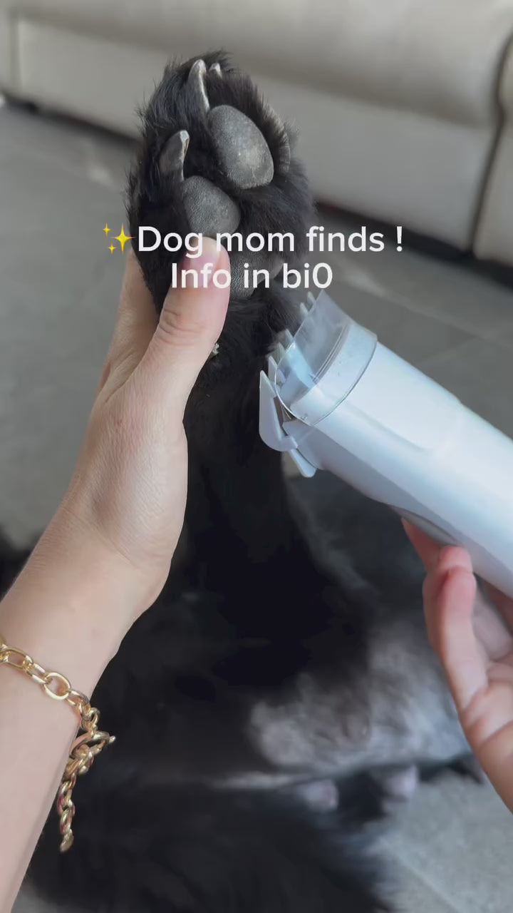 Vacuum Pet Hair Remover