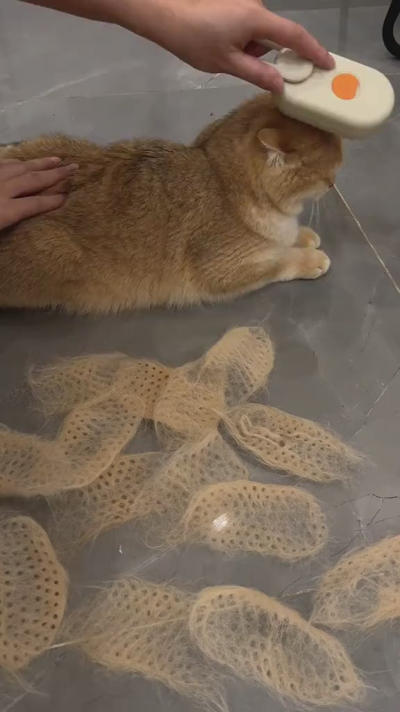 STEAM HAIR GROOMING BRUSH